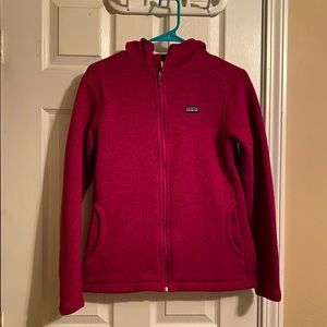 Patagonia better sweater hoodie